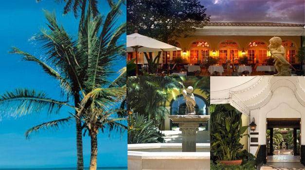 Palm Beach cover
