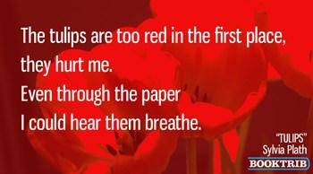 Plath poetry meme 3 350