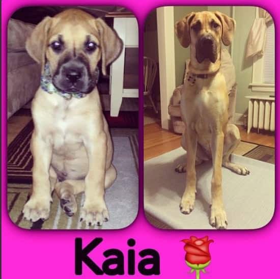 kaia then and now