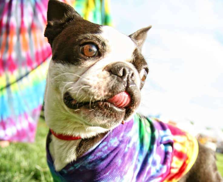 tie dye