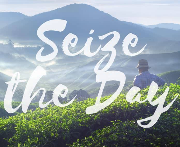 seize-the-day-frankl