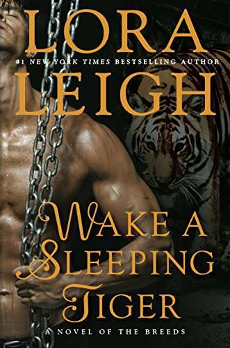 Wake A Sleeping Tiger romance