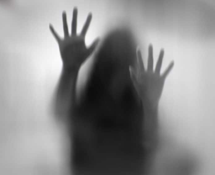 dale-wiley-southern-gothic-thriller