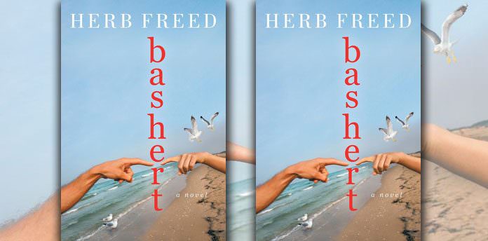 bashert-herb-freed-life-questions bashert-herb-freed-life-questions