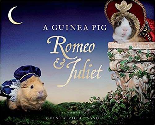 A Guinea Pig Romeo and Juliet