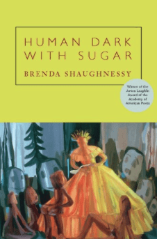 Human Dark With Sugar Brenda Shaughnessy