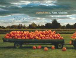 Pumpkins Ken Robbins