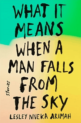 What it means when a man falls from the sky Lesley Nneka Arimah