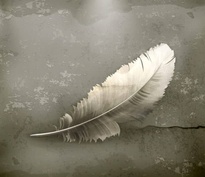 Feather, old-style vector