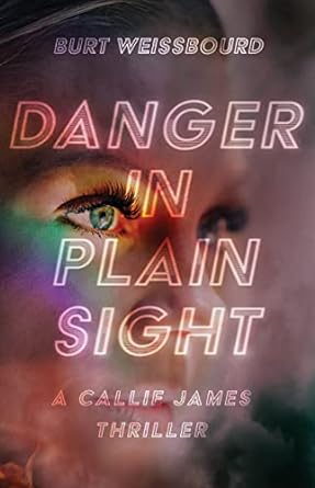 Danger in Plain Sight by Burt Weissbourd