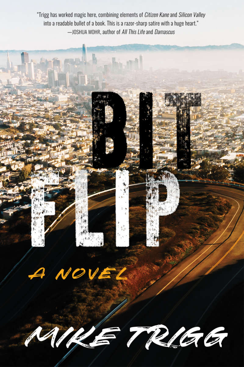 Bit Flip by Mike Trigg