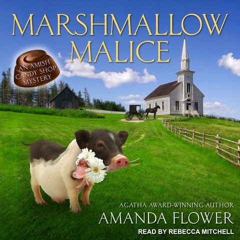 Marshmallow Malice: Amish Candy Shop, Book 5  by Amanda Flower