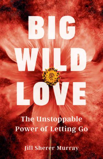 “Big Wild Love” by Jill Sherer Murray