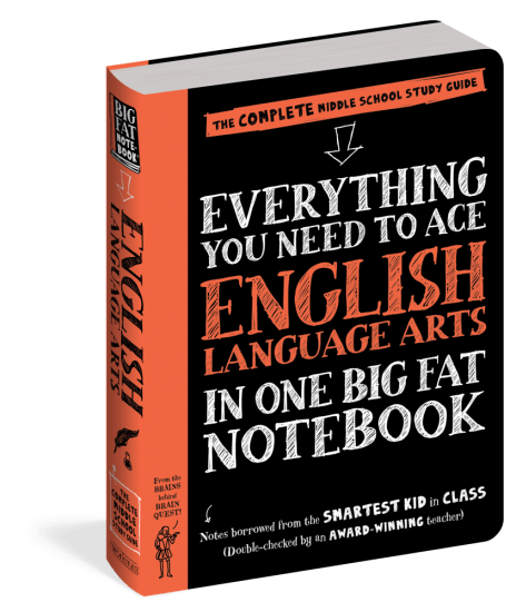 Big Fat Notebooks Series by Workman