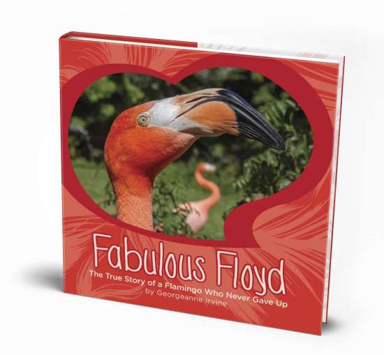 Fabulous Floyd by Georgeanne Irvine