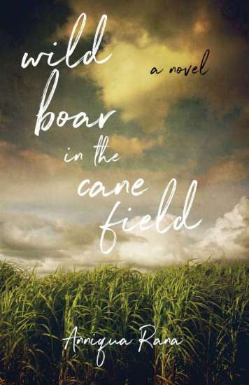 Wild Boar in the Cane Field by nniqua Rana