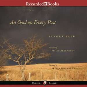 An Owl On Every Post  by Sanora Babb