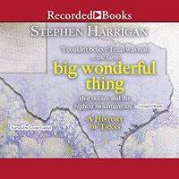 Big Wonderful Thing by Stephen Harrigan