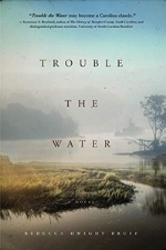 Trouble the Water by ebecca Dwight Bruff