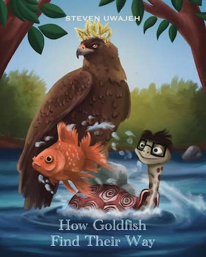 How Goldfish Find Their Way by Steven Uwajeh