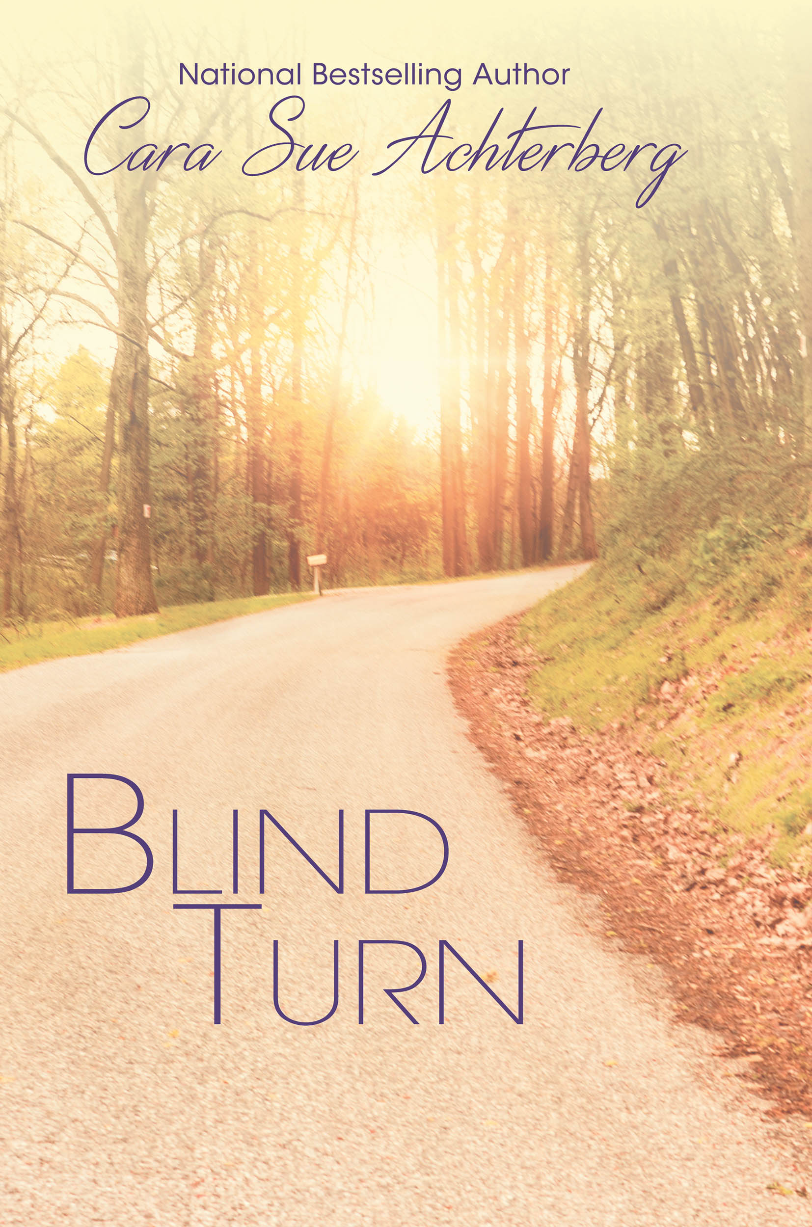 Blind Turn by Cara Sue Achterberg