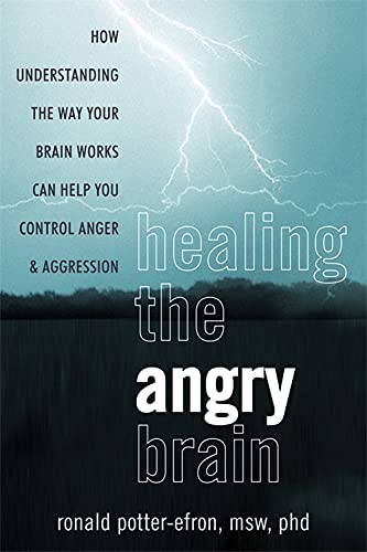  Healing the Angry Brain by Ronald Potter-Efron, MSW Ph.D.