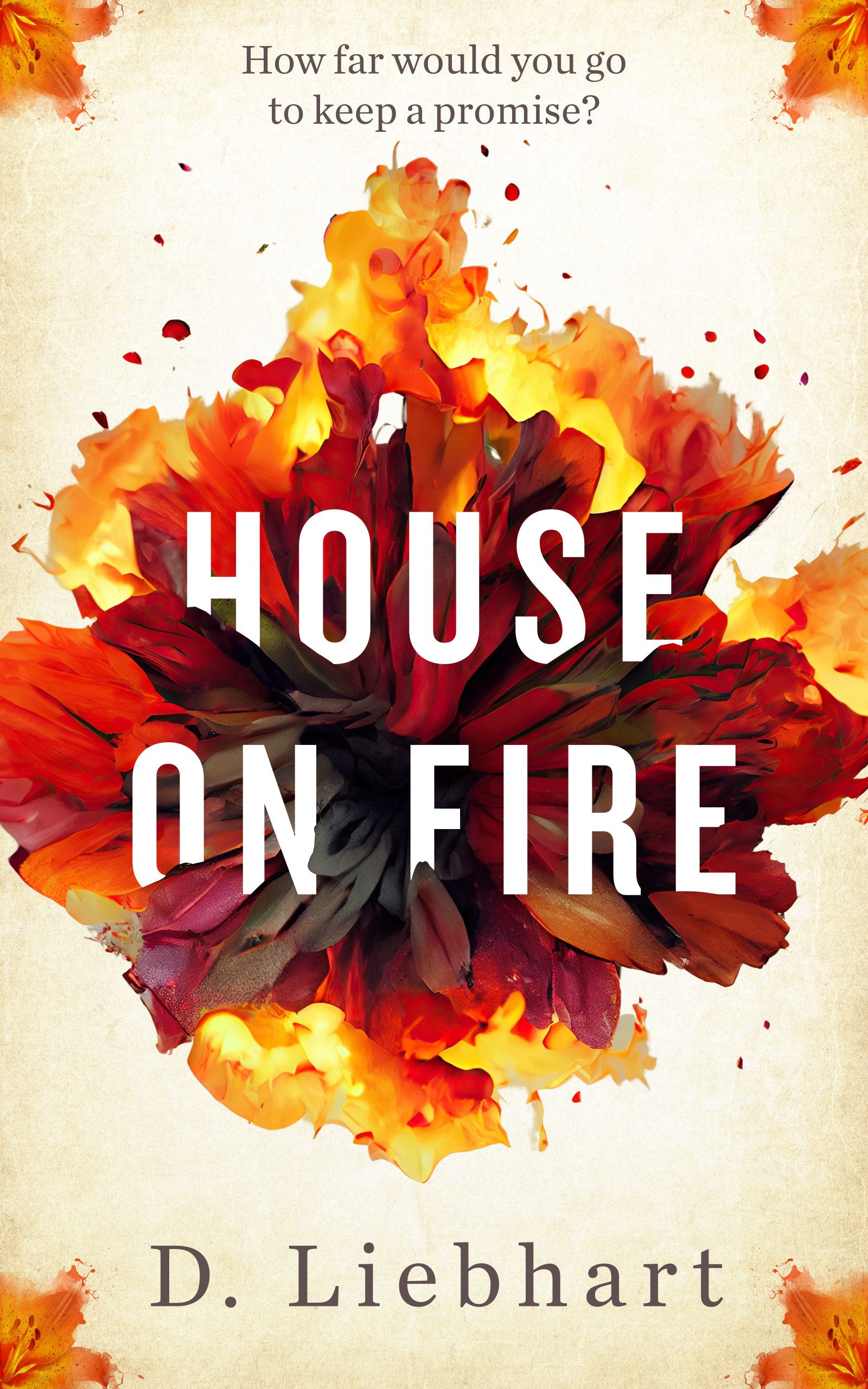House on Fire by D. Liebhart