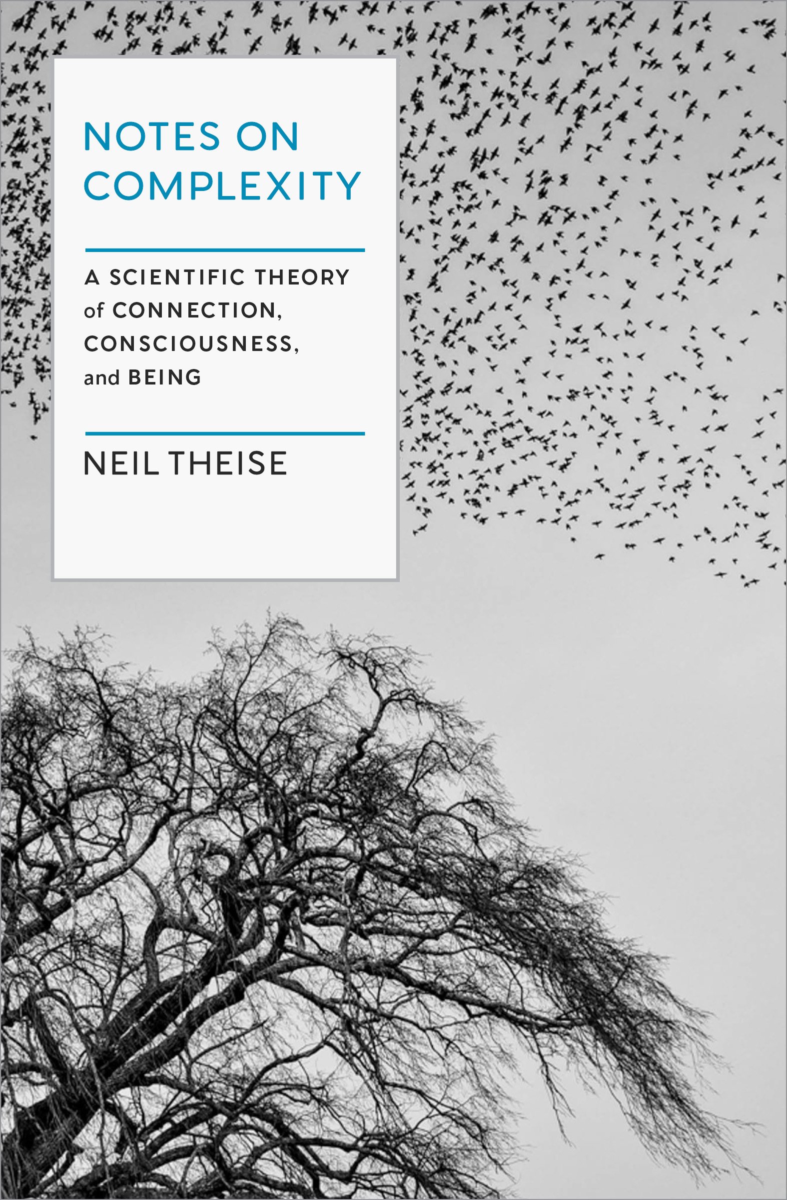 Notes on Complexity by Neil Theise