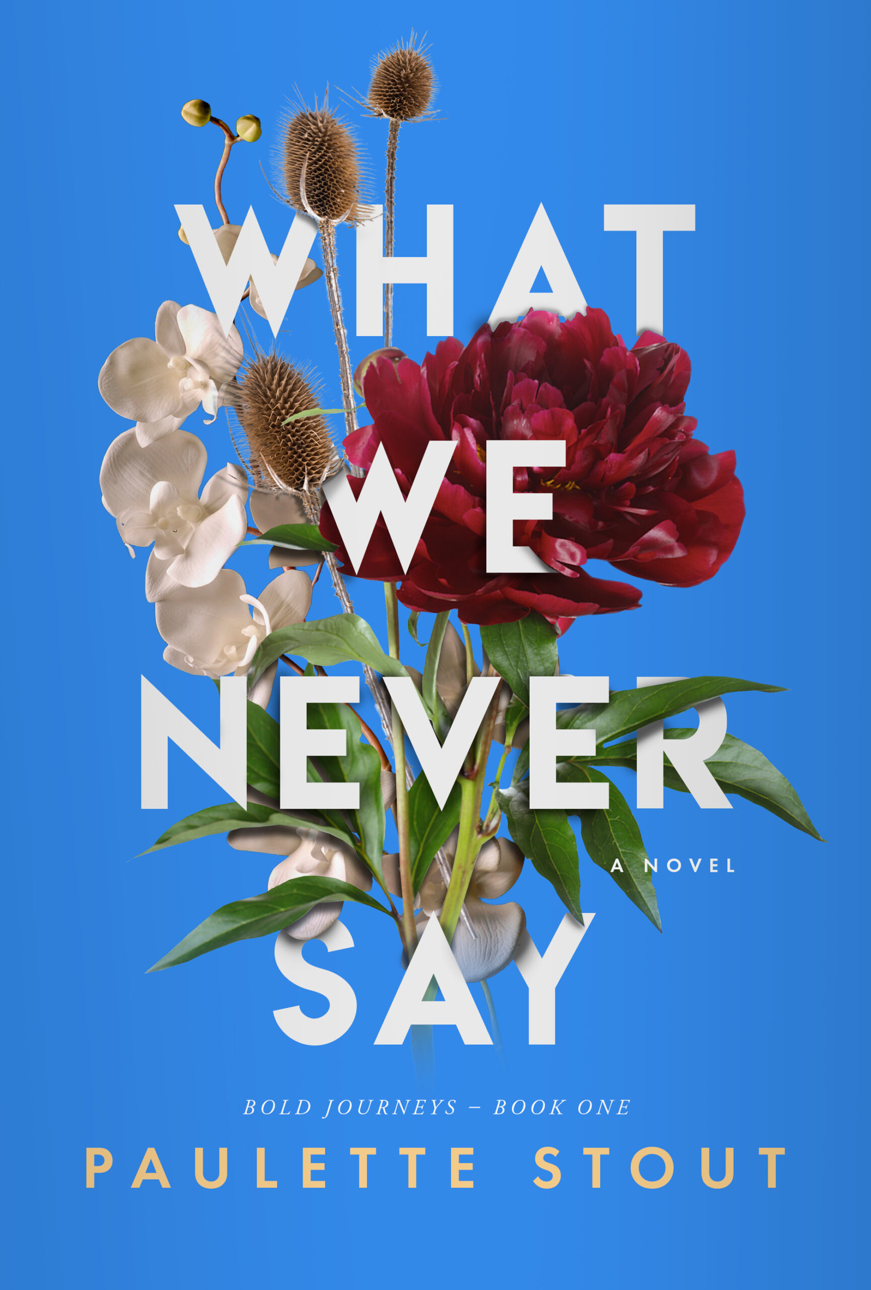 What We Never Say by Paulette Stout