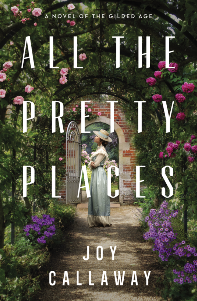 All the Pretty Places by Joy Callaway