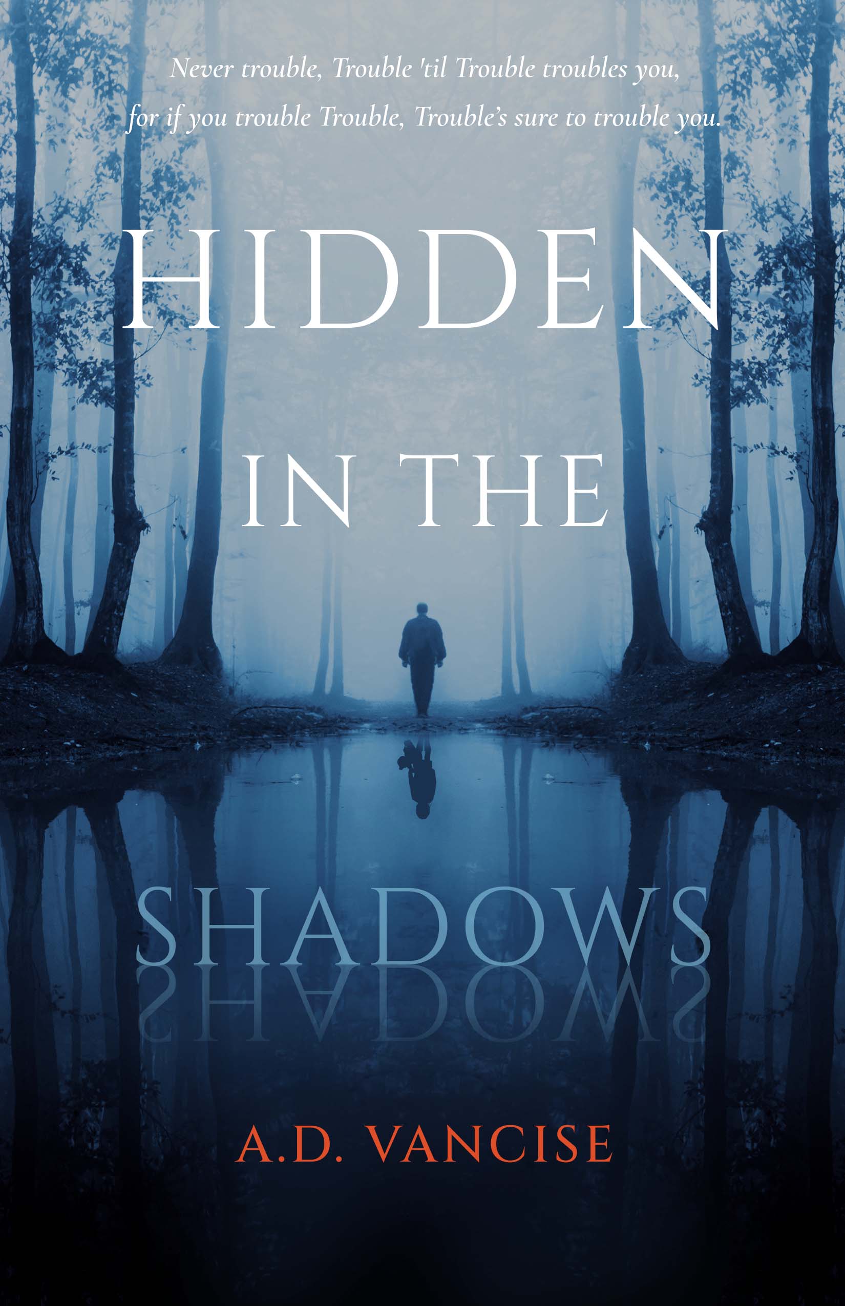 Hidden in the Shadows by A.D. Vancise