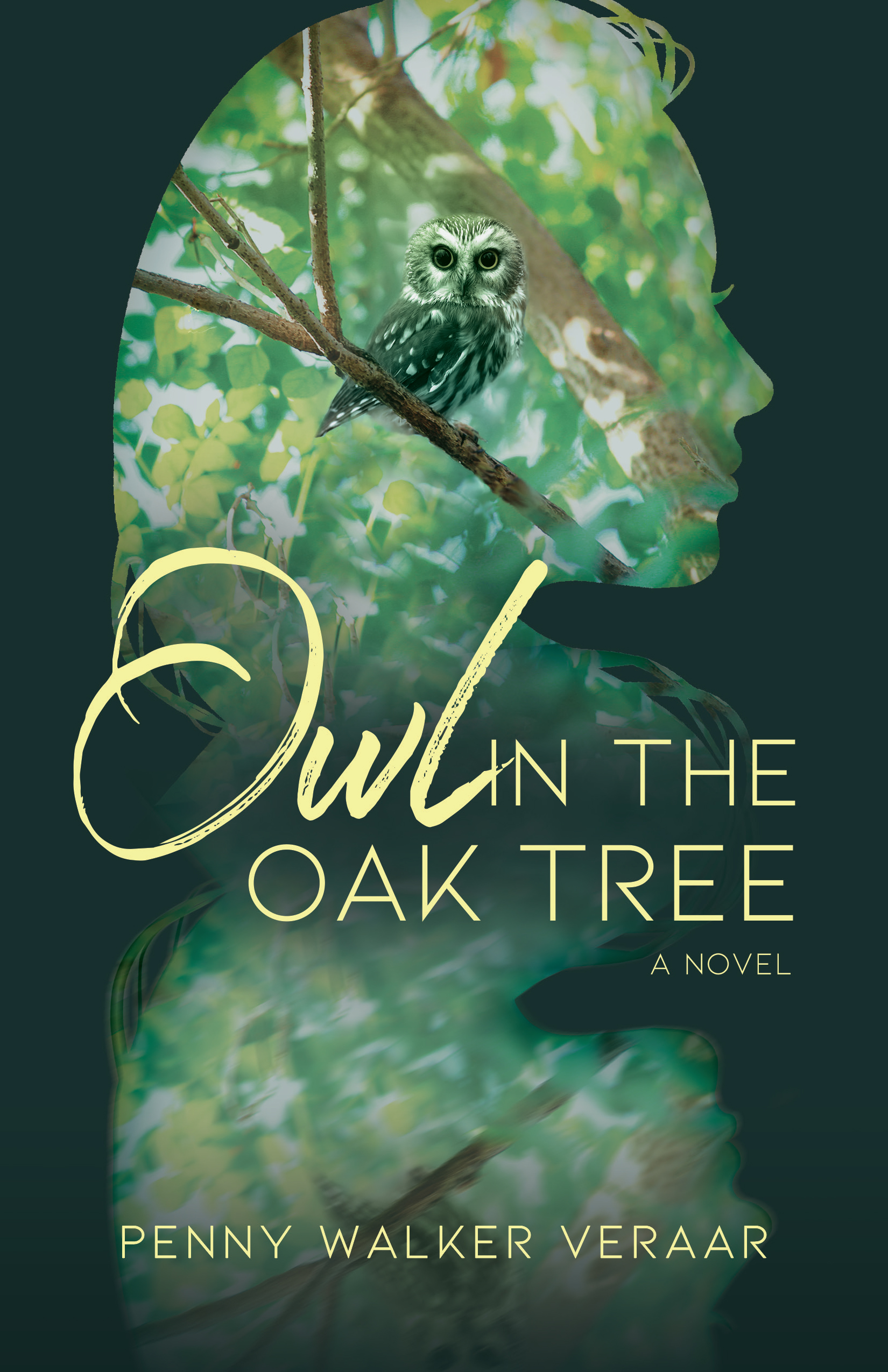 Owl in the Oak Tree by Penny Walker Veraar