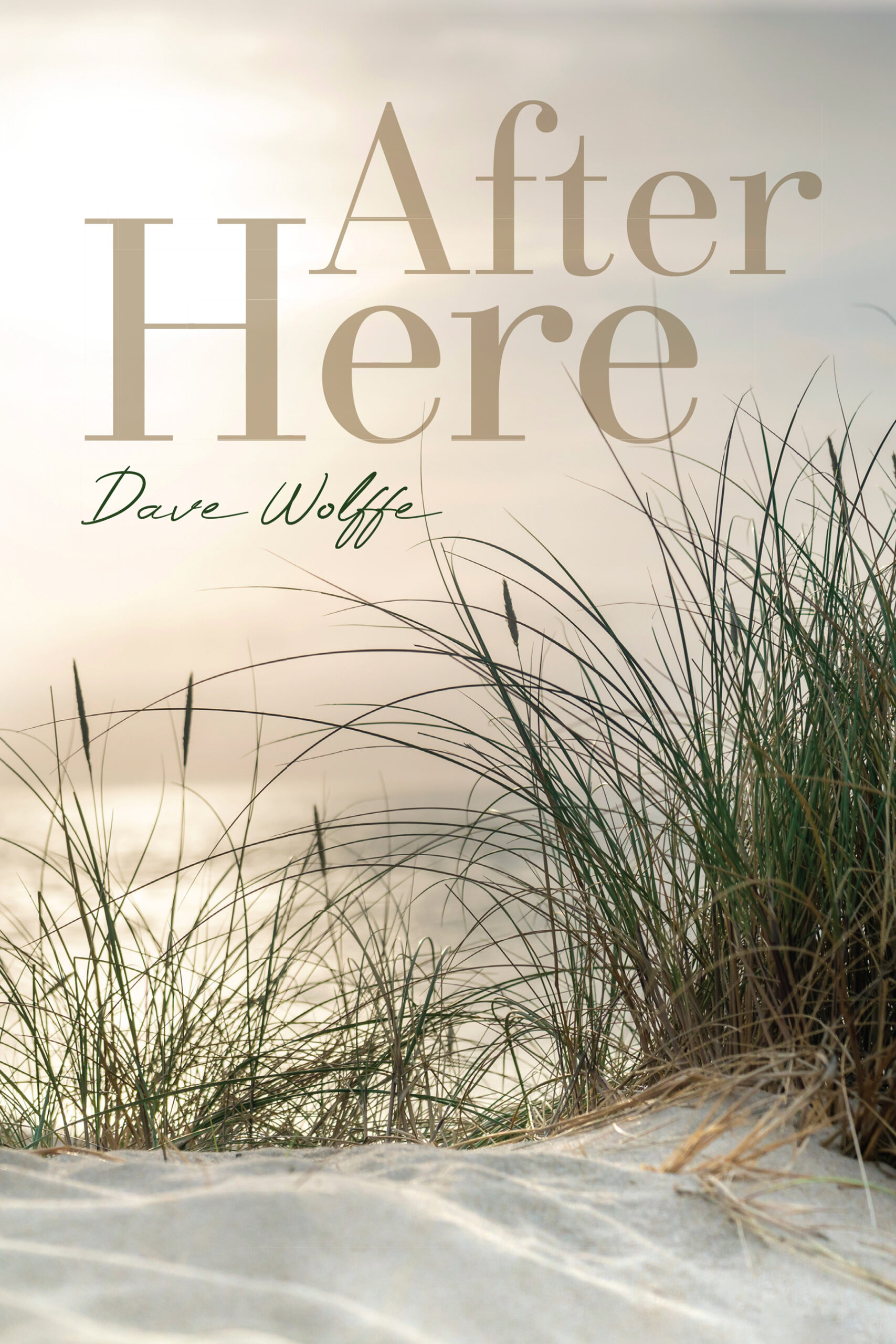 After Here by Dave Wolffe