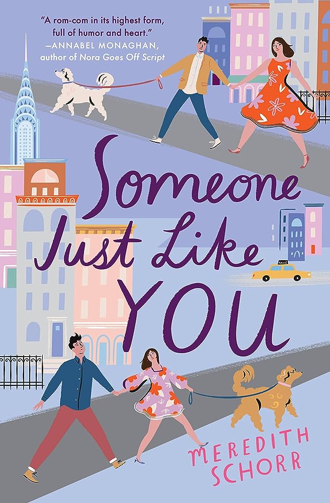 Someone Just Like You by Meredith Schorr
