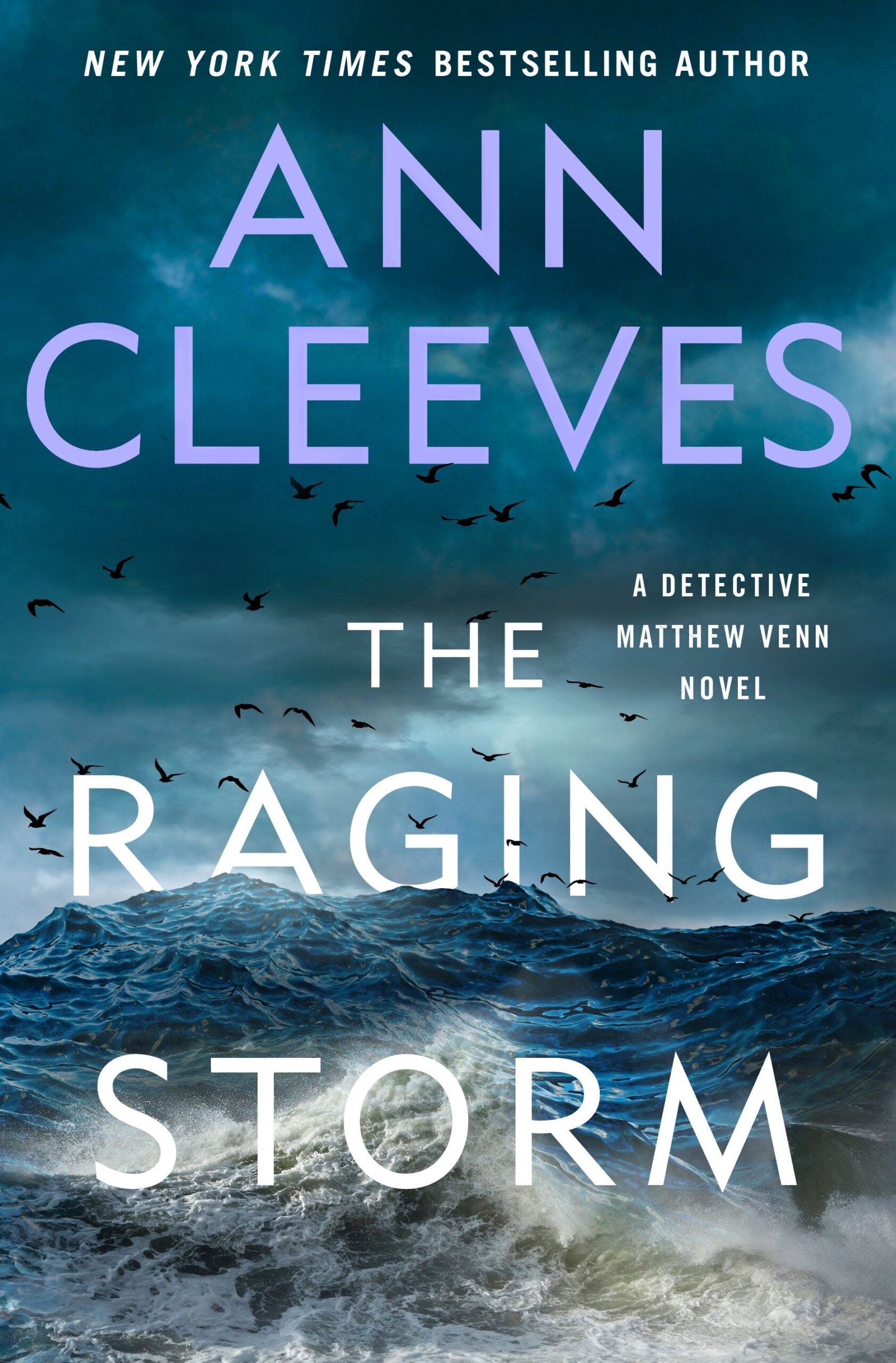 The Raging Storm by Ann Cleeves