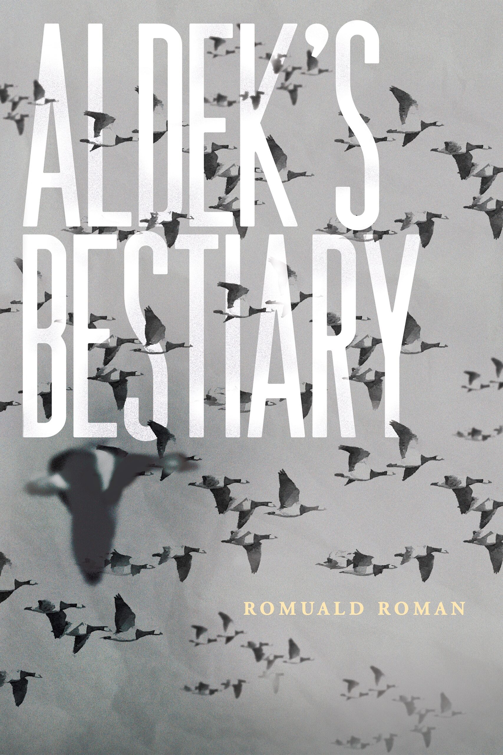 Aldek’s Bestiary by Romuald Roman