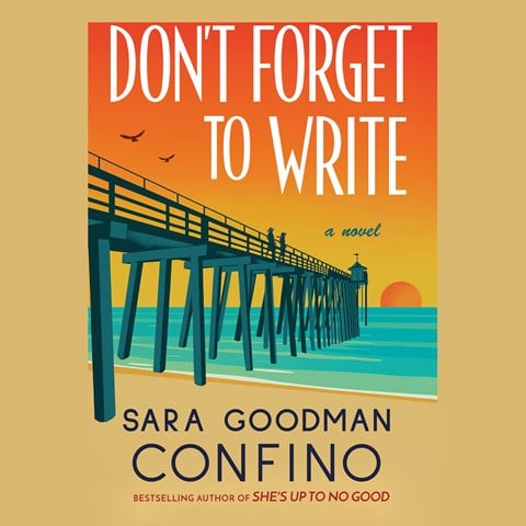 DON'T FORGET TO WRITE by Sara Goodman Confino