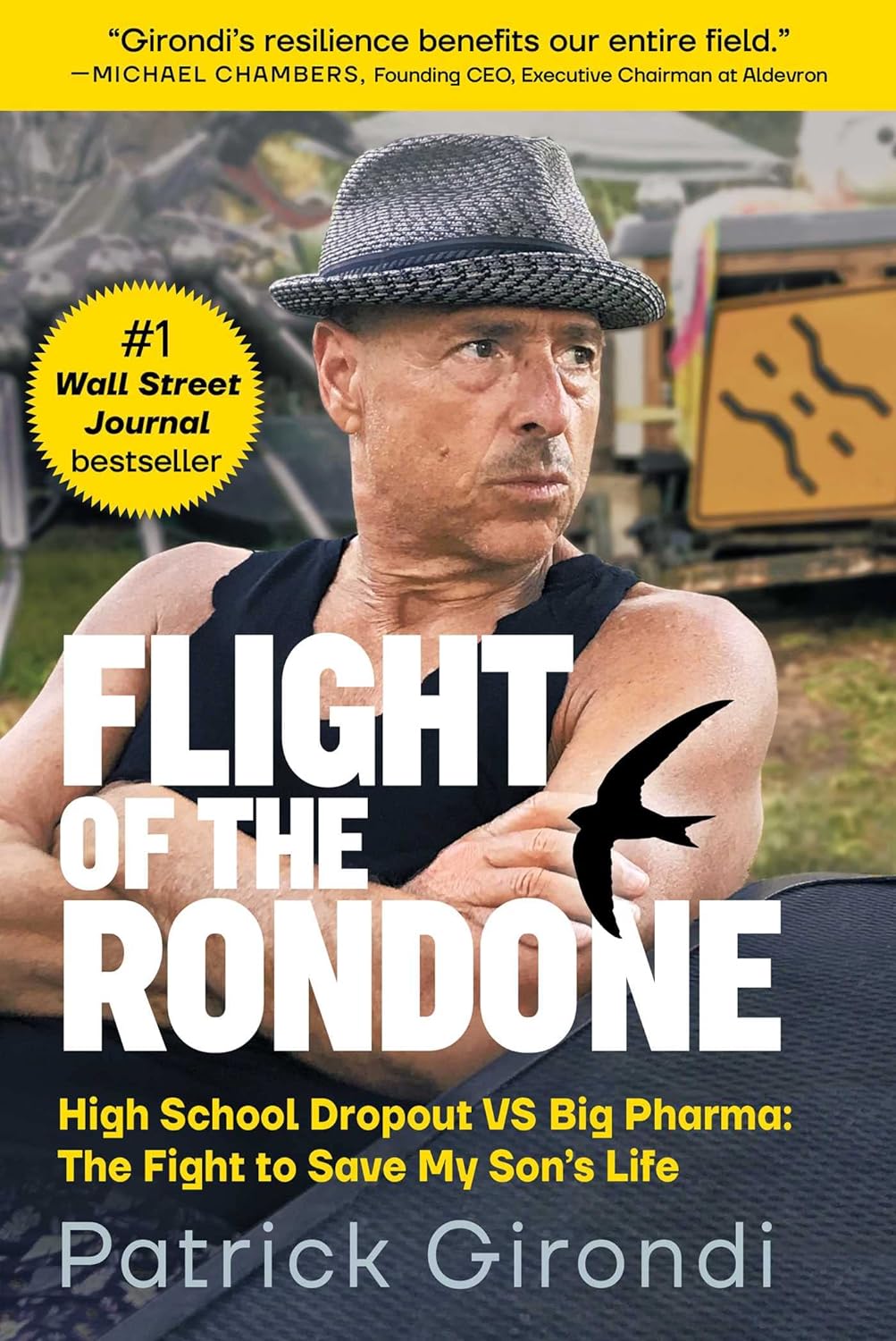 Flight of the Rondone by Patrick Girondi