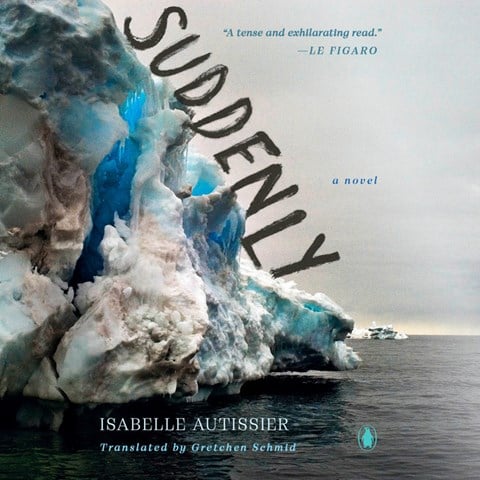 SUDDENLY by Isabelle Autissier, Translated by Gretchen Schmid