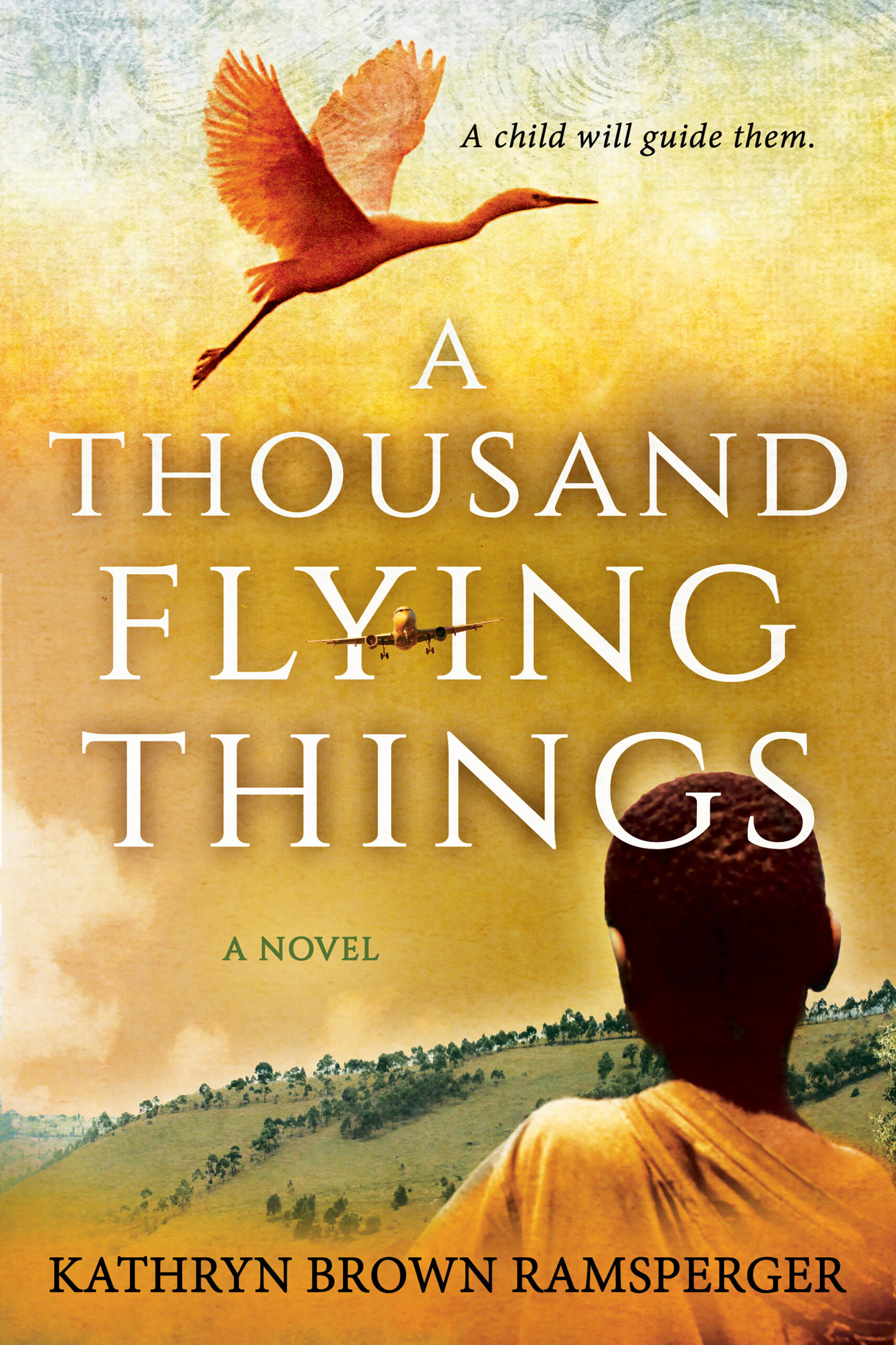 A Thousand Flying Things by Kathryn Brown Ramsperger