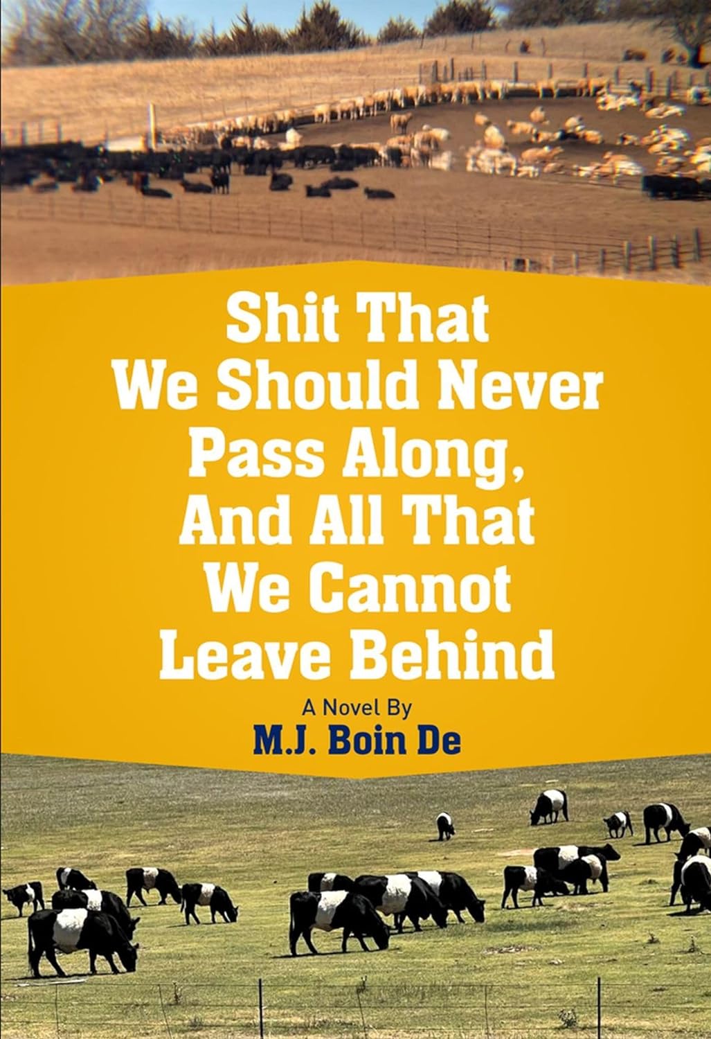 Shit That We Should Never Pass Along, and All That We Cannot Leave Behind by M.J. Boin De 