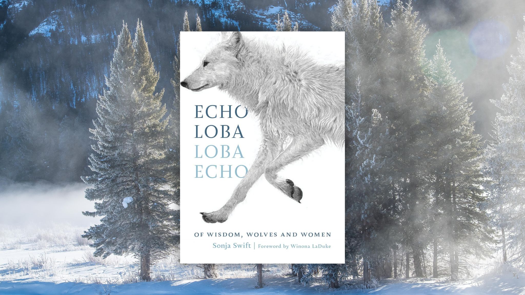 Echo Loba Loba Echo by Sonja Swift