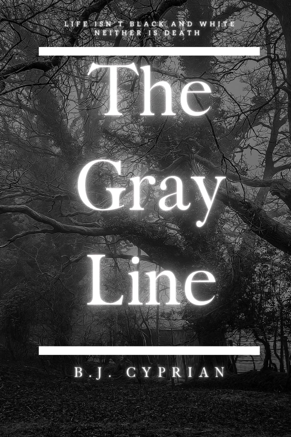 The Gray Line by B.J. Cyprian