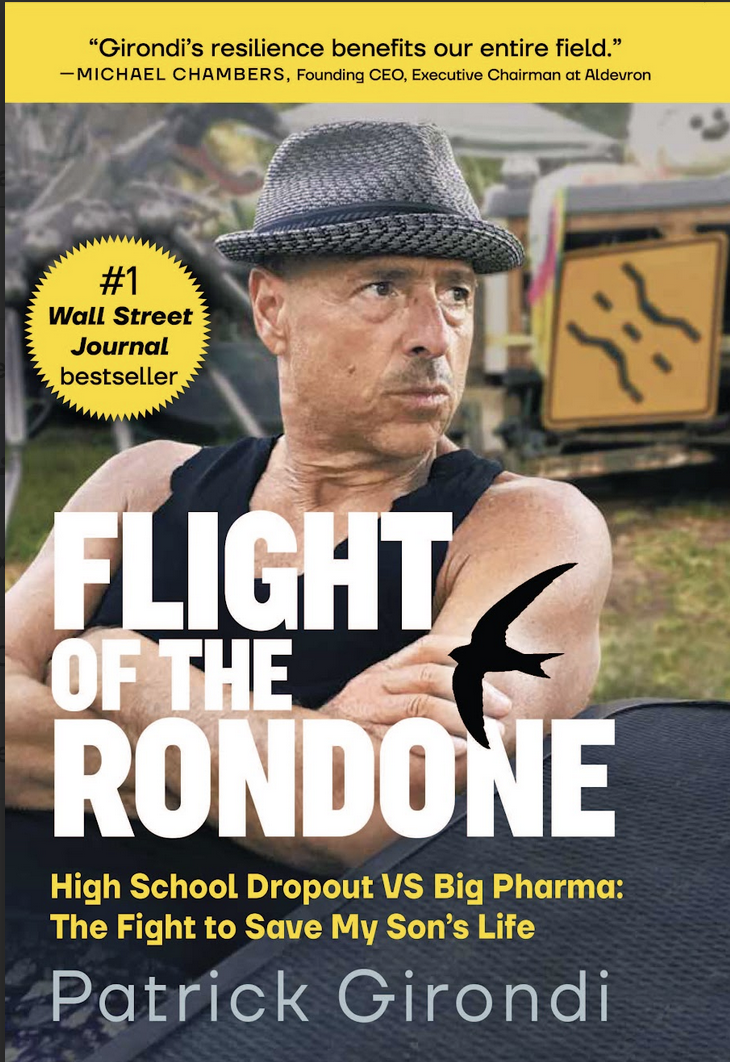 Flight of the Rondone by Patrick Girondi