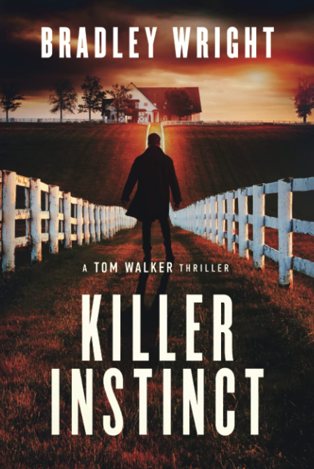 Killer Instinct by Bradley Wright