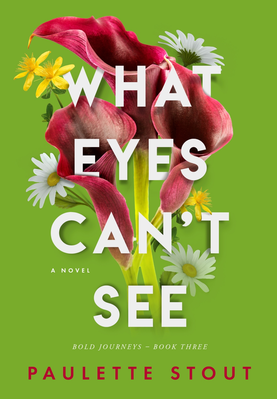 What Eyes Can’t See by Paulette Stout