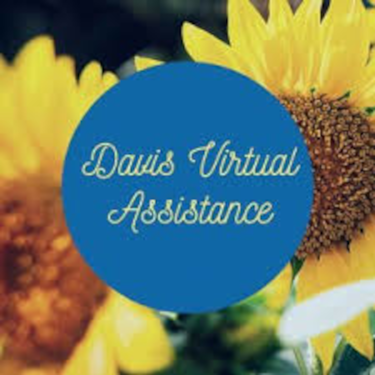 Davis Virtual Assistance