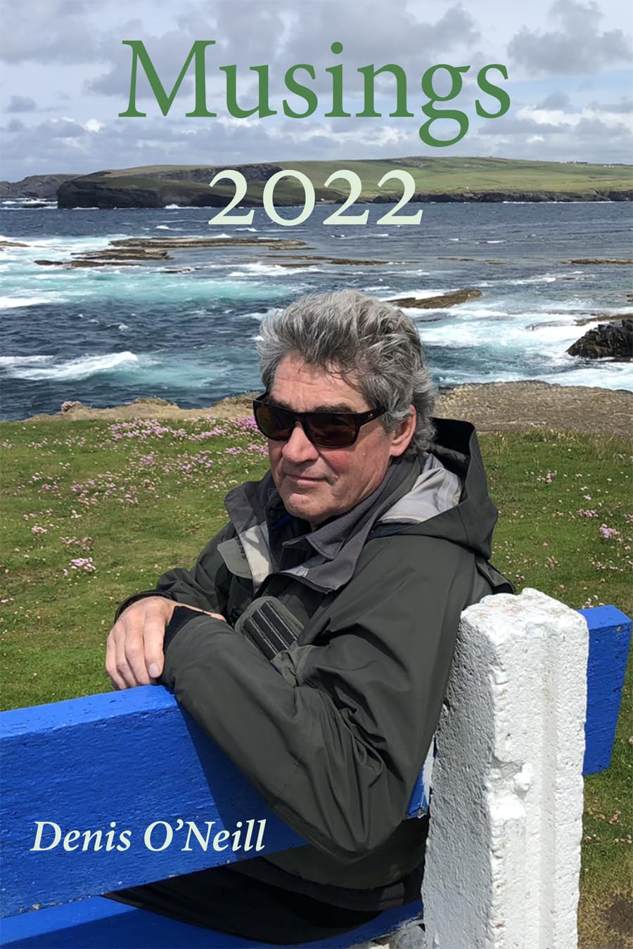 Musings 2022 by Denis O'Neill