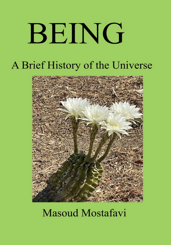 BEING: A Brief History of the Universe by Masoud Mostafavi