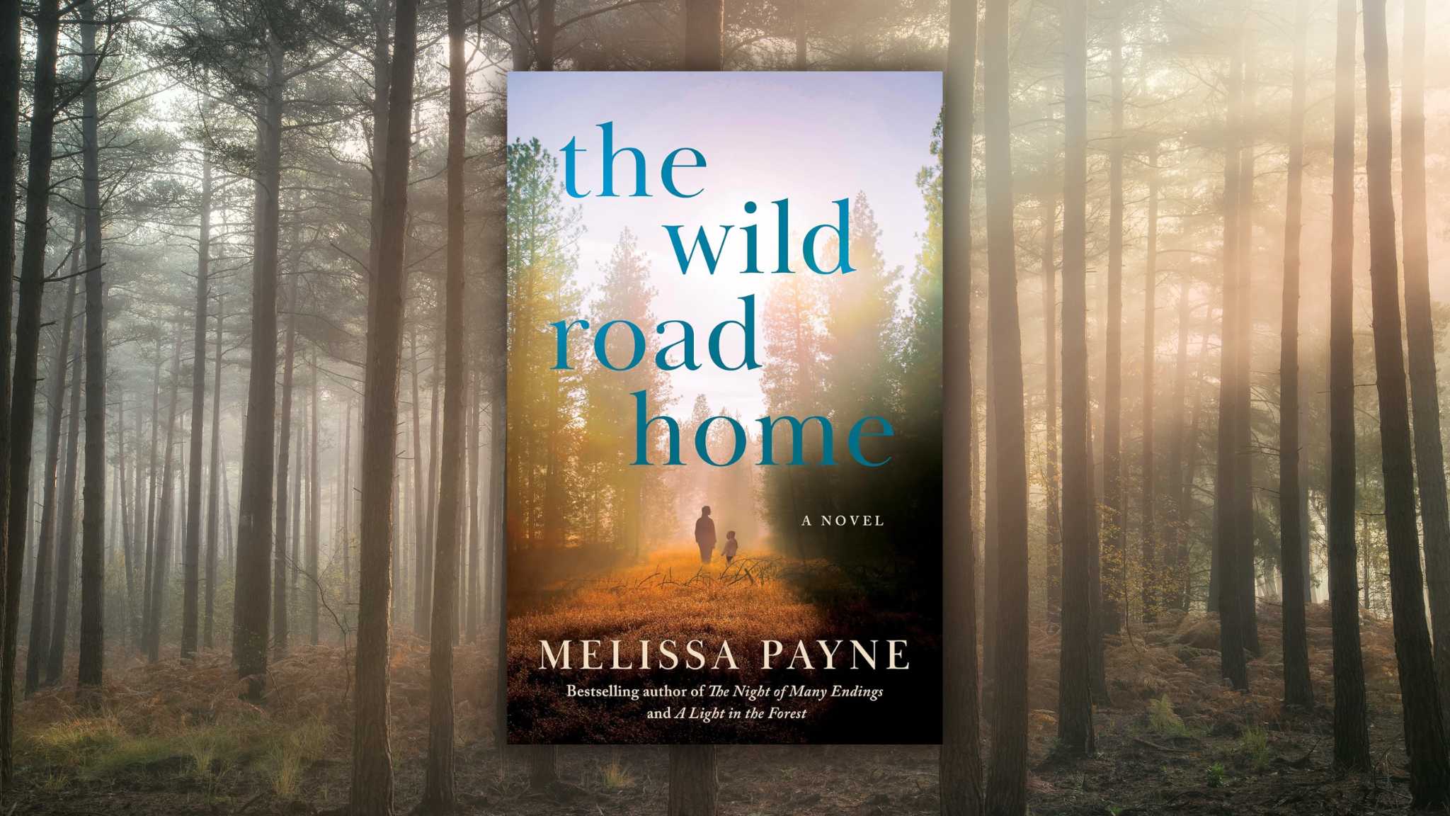 The Wild Road Home by Melissa Payne